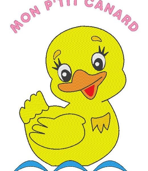 mon petit canard qui prend son bain Motif de broderie machine cadre  10 x 10/ 13 x 18 / 20 x 30 Formats des fichiers PES,CSD,EXP,HUS,SHV,VIP,XXX,DST,PCS,JEF,VP3,SEW… Téléchargement immédiat