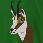 Tête et buste de chamois