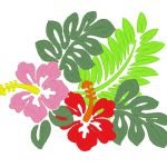 hibiscus hawaïen
