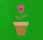 tulipe dans un pot