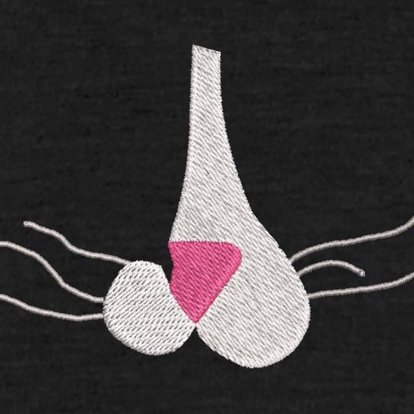 numérisation chat logo broderie