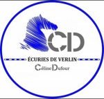 digitalisation logo broderie