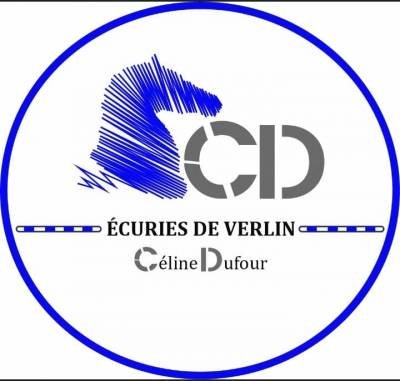 digitalisation logo broderie