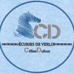 digitalisation logo broderie