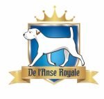 digitalisation logo broderie