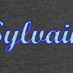 digitalisation logo broderie