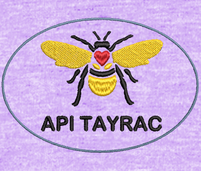 Design1 numerisation logo api tay – Image 1