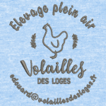 numerisation v des loges