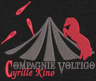 Numérisation logo voltigo
