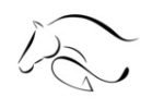 Numérisations logo écureuil, gland ,cheval – Image 2
