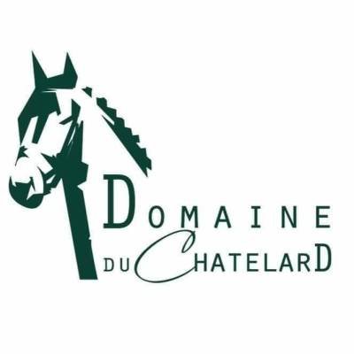 289626879_1671841496508339_4538371728913796023_n Numerisation logo domaine du C en 2 parties – Image 1