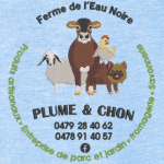 Numérisation ferme plume et c