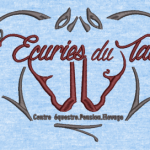 Numérisation écuries du T