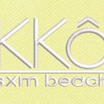 Numérisation kko format pochette