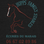 Numérisation logo hfs