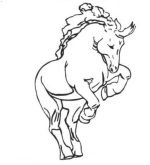 Numérisation cheval et tracteur – Image 2