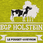 Numérisation logo EPG H