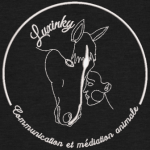 Numérisation Lux