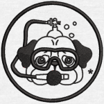 chien plongée