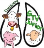 Numérisation animaux GTV et sonor
