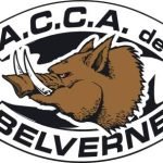 ACCA de B