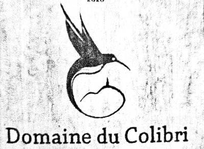 20231123_134429 Numérisation D du colibri – Image 1