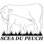 SC du peuch