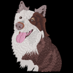numérisation chien blanc et marron